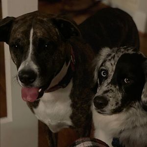 Meet your Posher, Heather